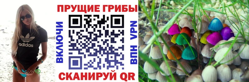 закладка  Елабуга  Псилоцибиновые грибы мухоморы 