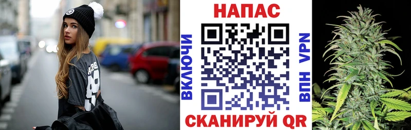 omg ссылка  купить закладку  Елабуга  Канабис индика 